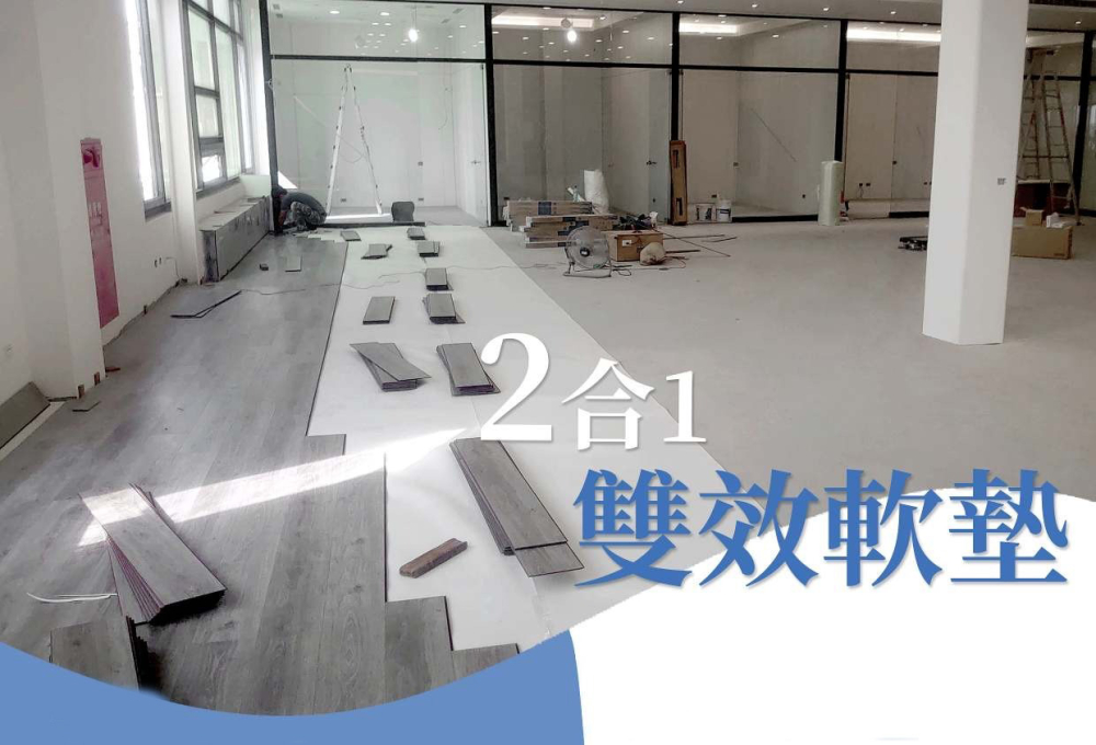 二合一雙效軟墊