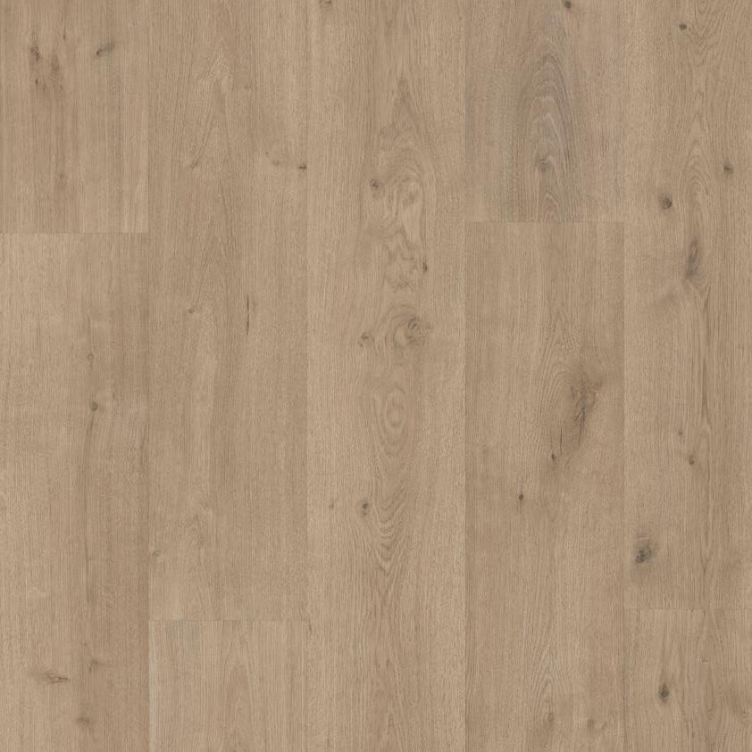 41050545 杉利橡木 Century Vera Oak