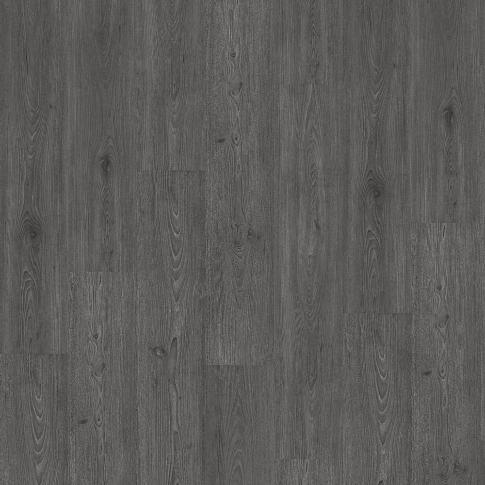 41048169-4V 特納橡木