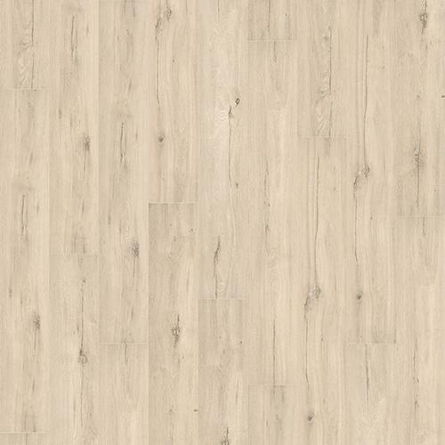 41103786-4MV 特洛亞橡木