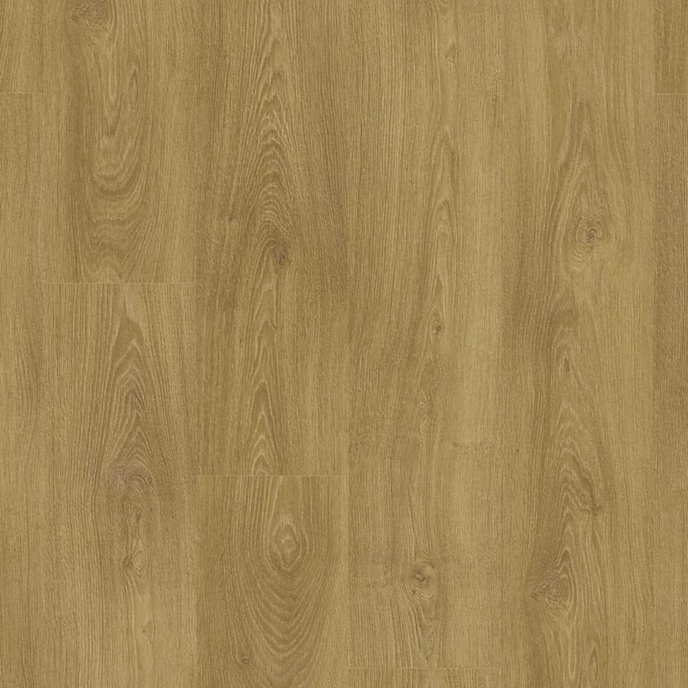 SF003-4V European Oak 歐洲橡木