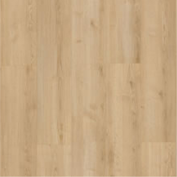 41047945 索拉塔橡木SONATA OAK