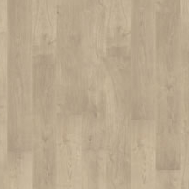 41047958-4V 哥拉摩爾橡木