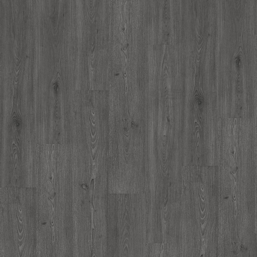 41048169-4V 特納橡木