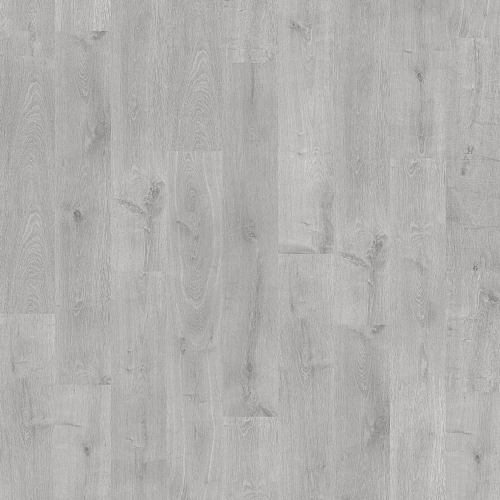 41047966-4V 泰坦尼亞橡木