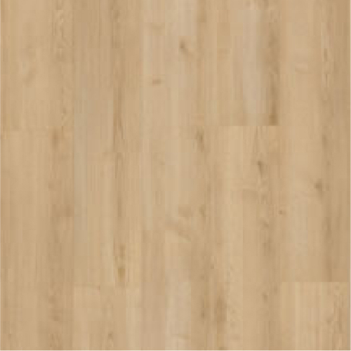 41047945 索拉塔橡木SONATA OAK